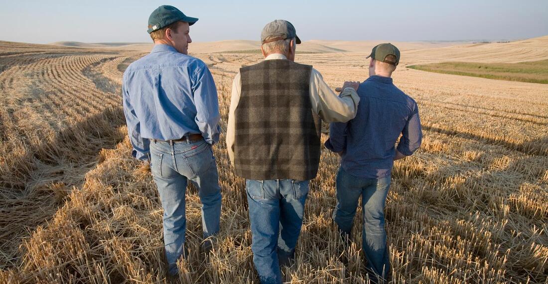Three farmers standing in an open field